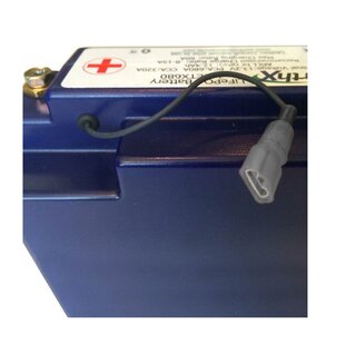 EarthX ETX1200 13,2V 24,8Ah LiFePO4 starter battery